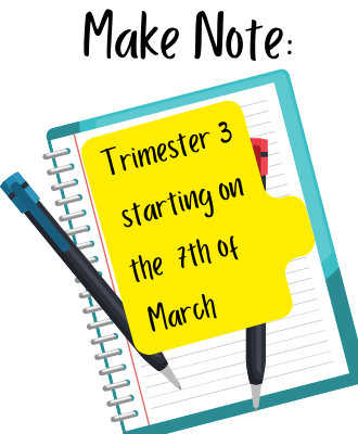  Trimester 3